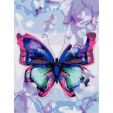 Akrila krāsas un kanvas attēlu gleznošana pēc numuriem 'Butterfly' 30x40cm